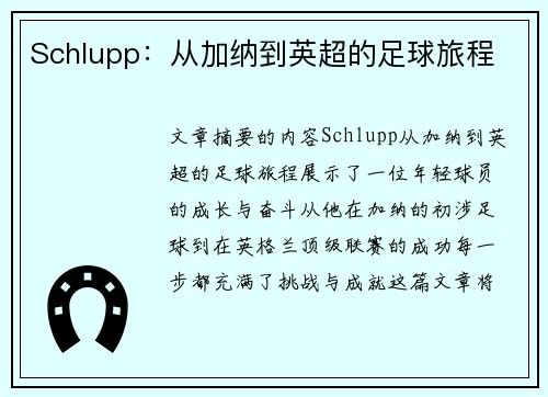 Schlupp：从加纳到英超的足球旅程