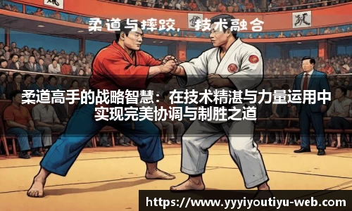 YY体育