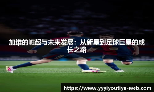 YY易游体育